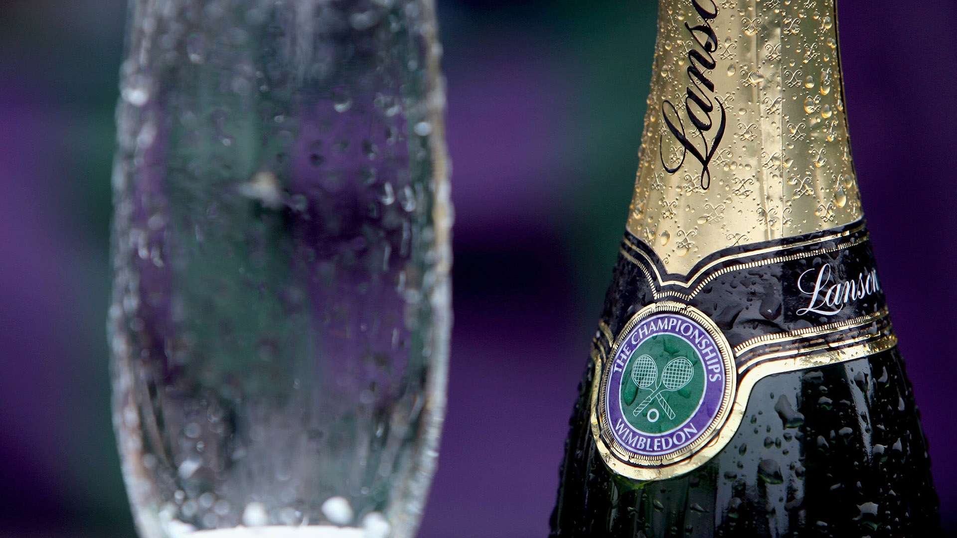 篮球评论员 篮球评论员